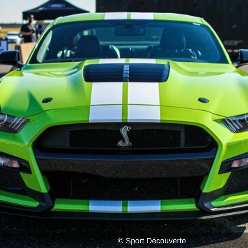 Pilotage Mustang Shelby GT500 sur le circuit de Mettet